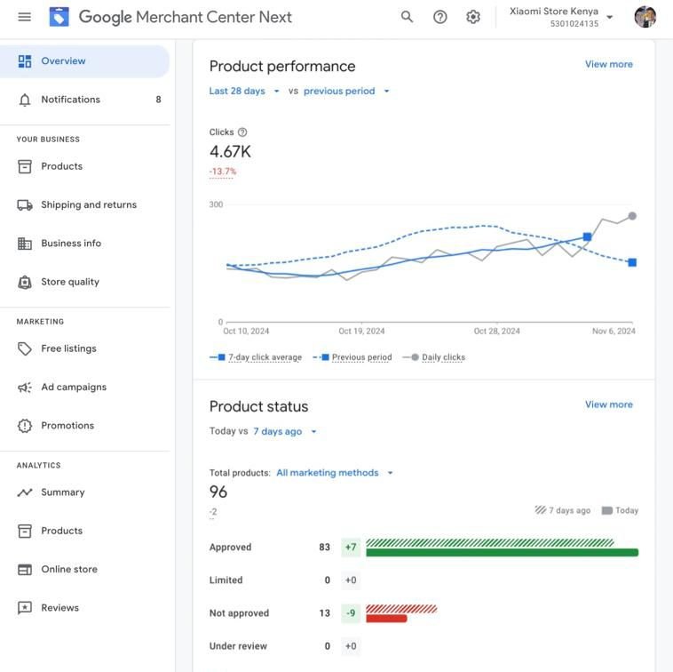 Google Ad Campaign Before Optimization